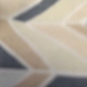 Meet your Posher, Quincy